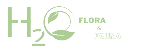 H2O Flora & Fauna